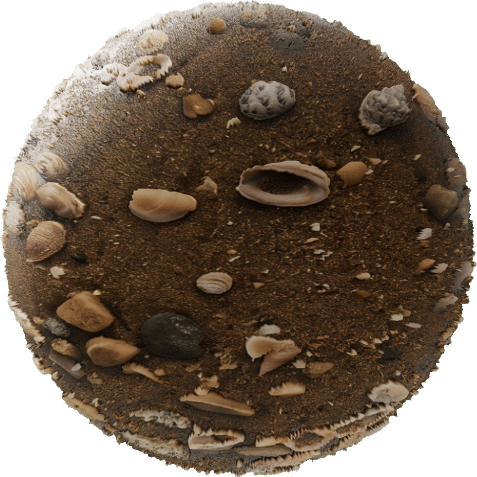 Pebble and Shell Beach Sand Free PBR Texture | Boracity