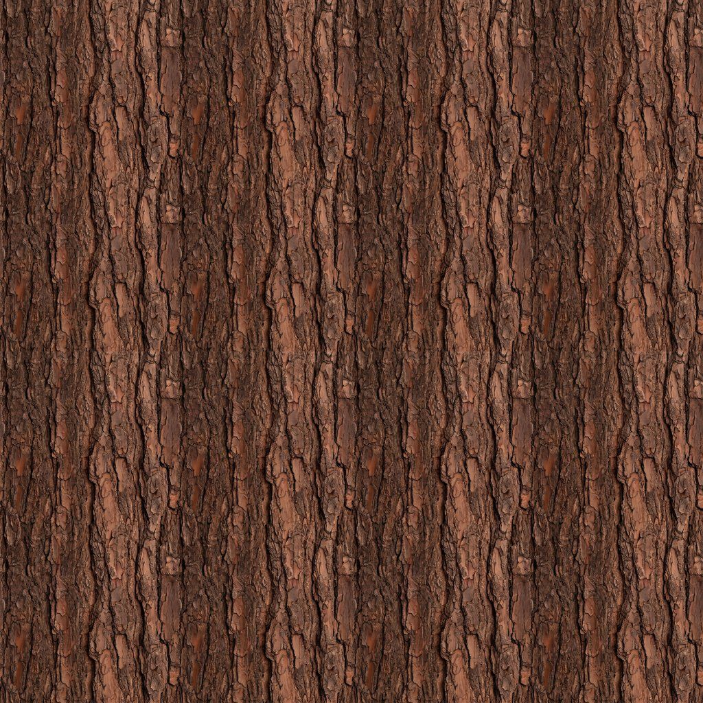 Natural Brown Tree Bark Free PBR Texture | Boracity