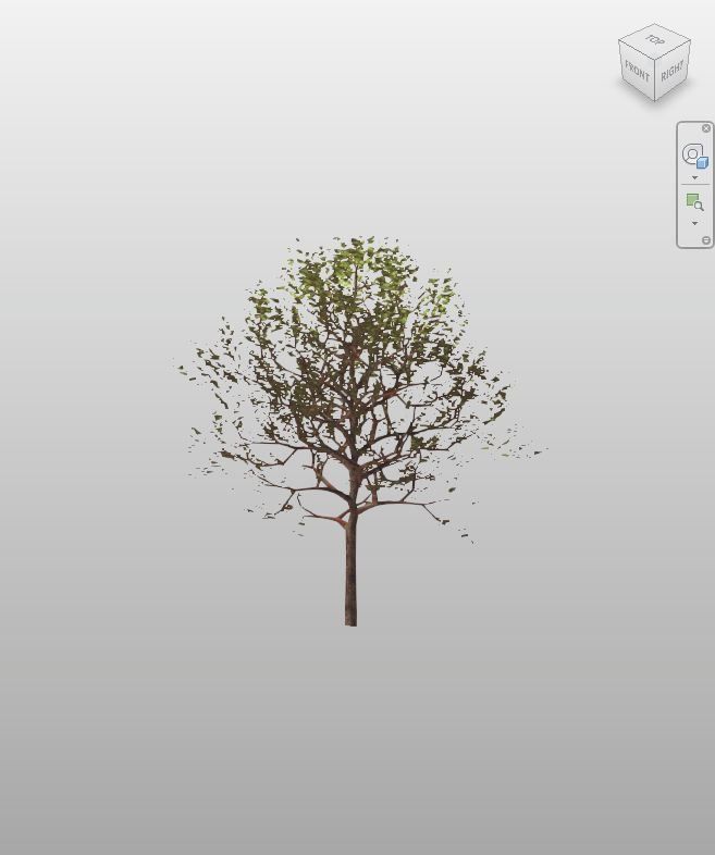 Green Ornamental Tree - Free Revit Family | Boracity