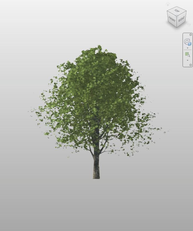 Lush Green Tree - Free Revit Vegetation Family | Boracity